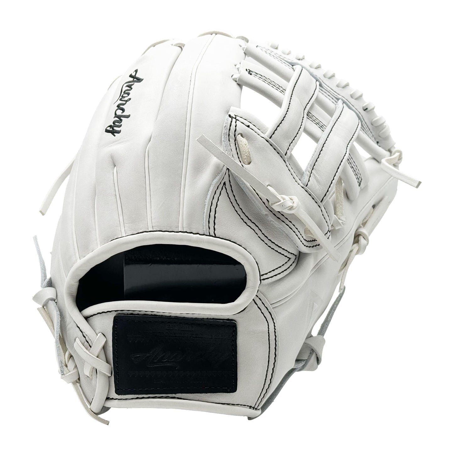 Anarchy Kip Leather Premium Softball Fielding Glove - AFG011
