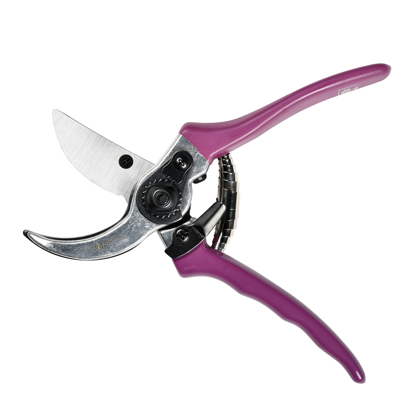 Asteraceae Secateur