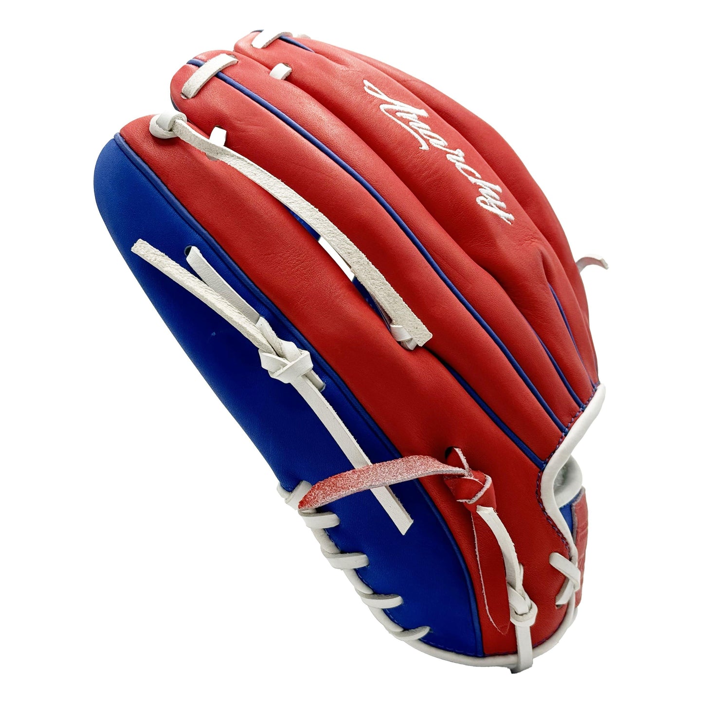 Anarchy Kip Leather Premium Softball Fielding Glove - AFG002