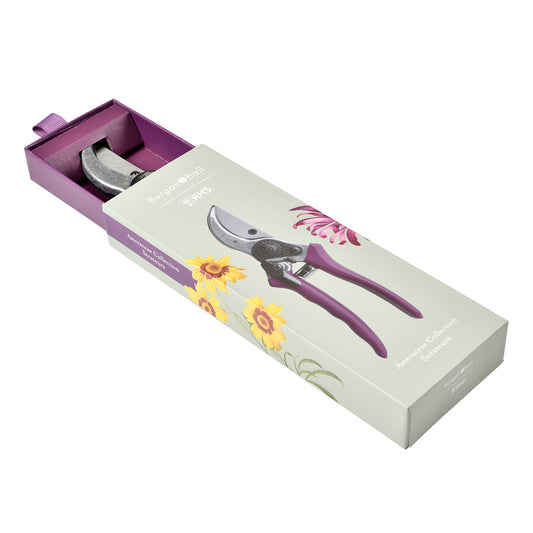 Asteraceae Secateur