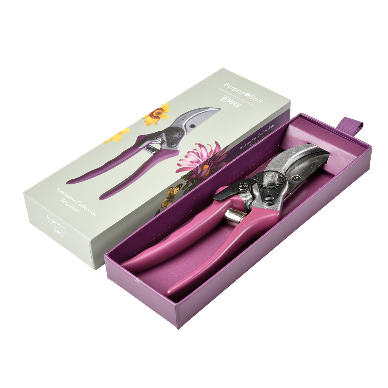 Asteraceae Secateur