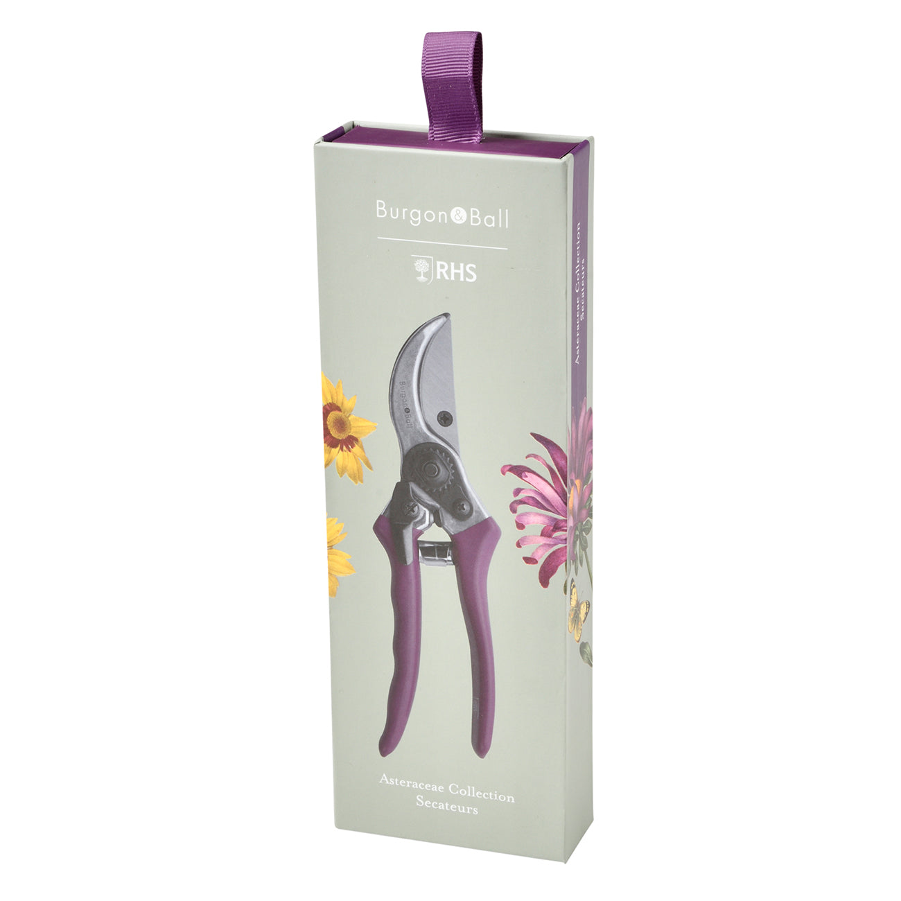 Asteraceae Secateur