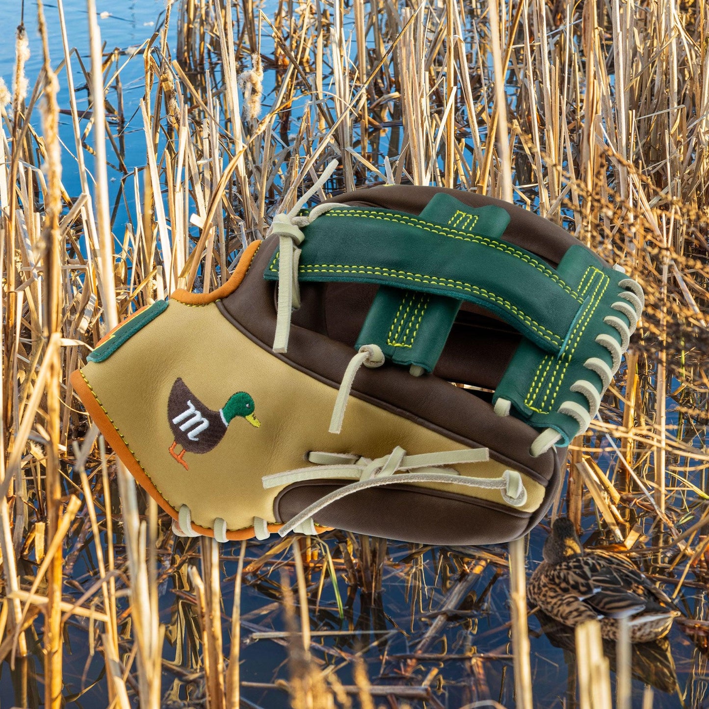 Marucci Nightshift Series Mallard II 11.5 Glove - MFGNTSHFT-0206